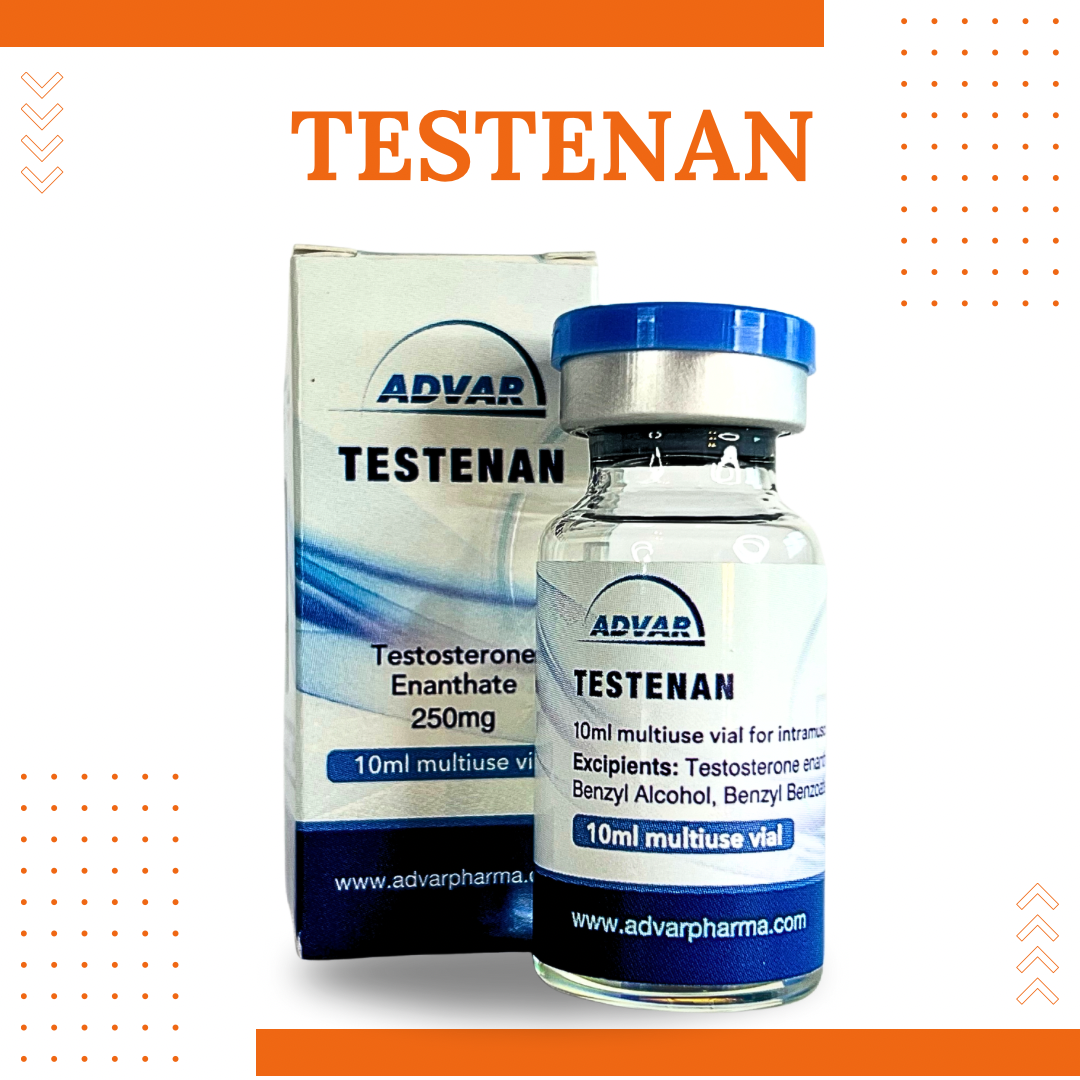 TESTENAN 300mg (TESTOSTERONE 10ML)